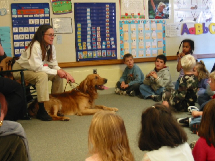 Kindergartners seated on the floor in their classroom learning from an SPCA staff member who has brought a large, calm dog with her.